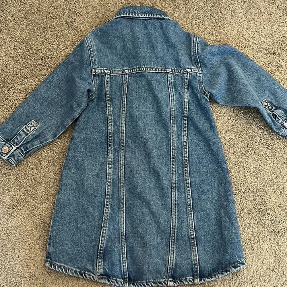 Girls Zara Denim Dress